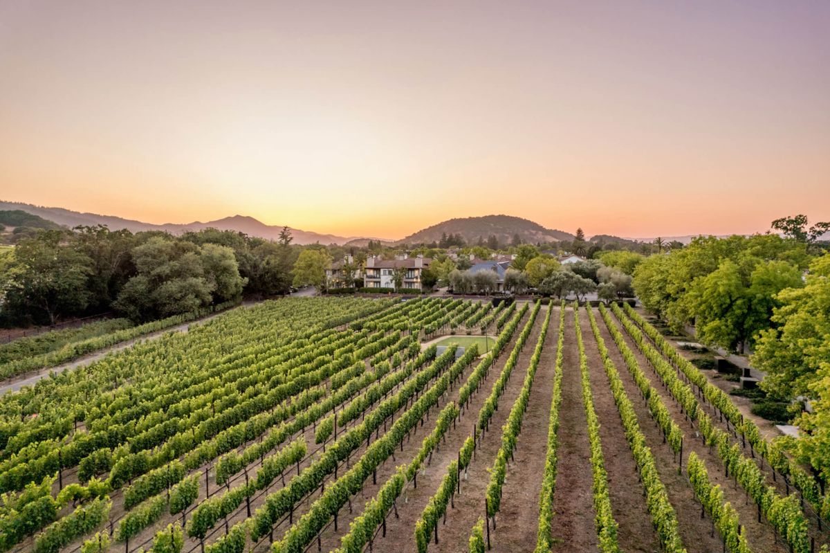 The Estate Yountville in Yountville, CA